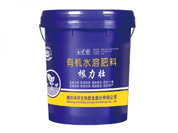 根力壯