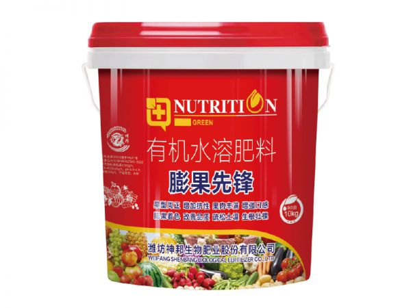 膨果先鋒