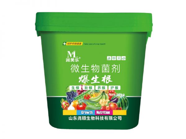 爆生根