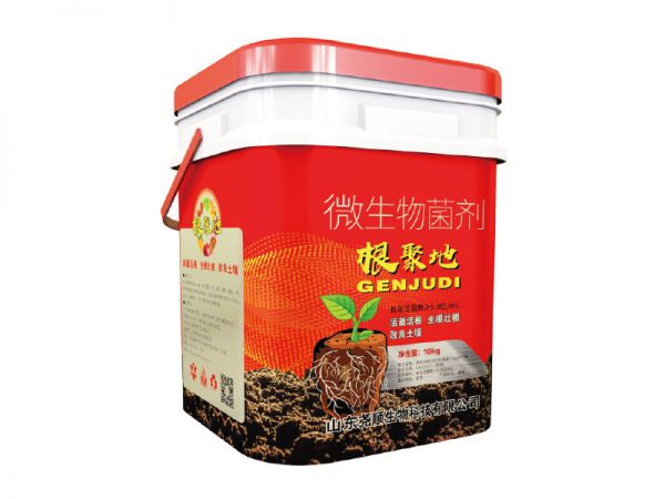 根聚地
