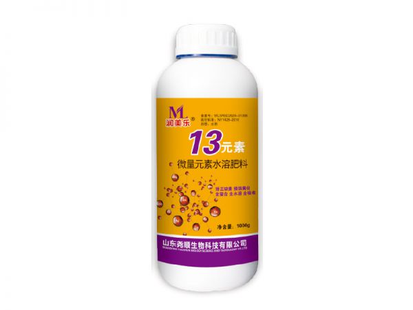 13元素