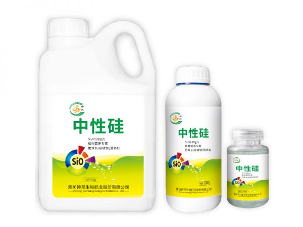 中性硅